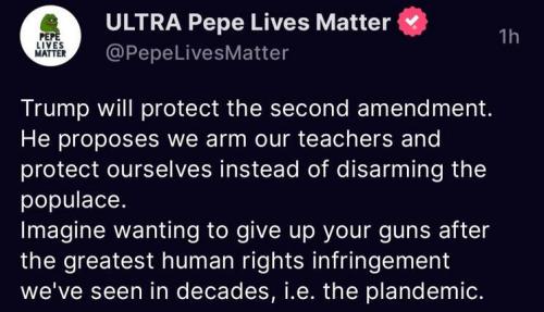 will protect the Second Amendment00