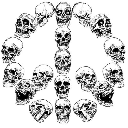 1684970222.6998072
