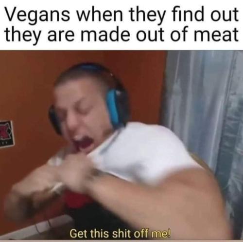 FB_IMG_1683836438945