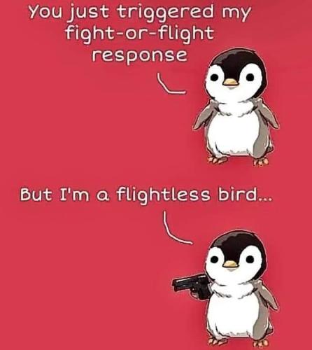 345188583_742569857656282_133462727557111199_n