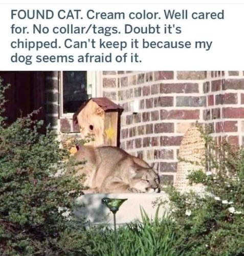 345931013_904676470825861_2818652243712828748_n