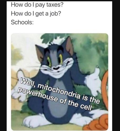 Screenshot_20230524_194747_YouTube