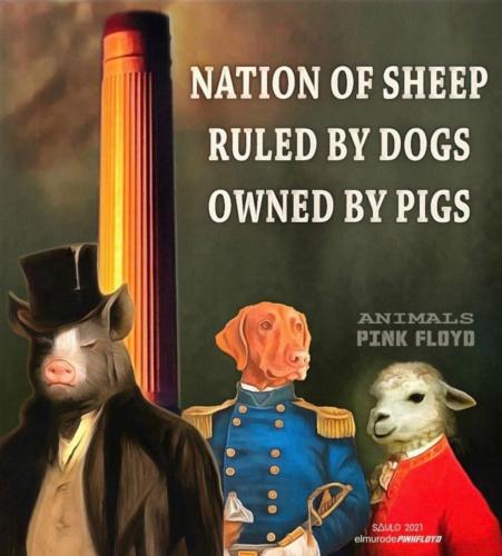 photo_2023-05-20_13-14-15