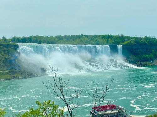 784A2281-AB5B-4273-BBD8-35C70C7D8DFE