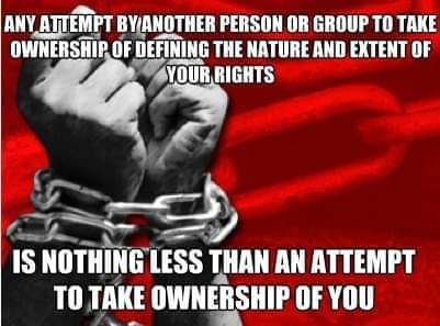 FB_IMG_1684539236149