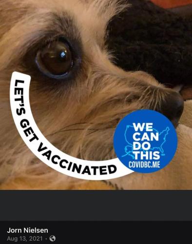 IMG_20230517_021715_281