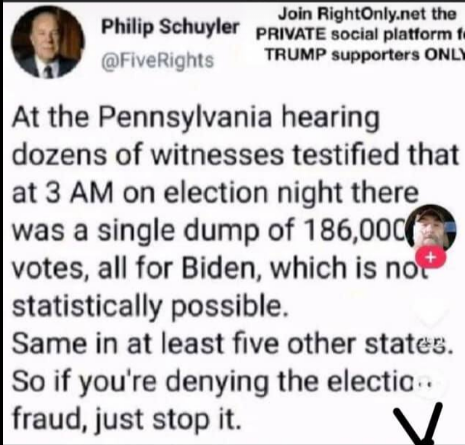 election fraud