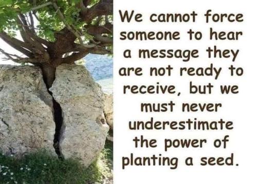 bf1e88e8-89ea-46d6-a0a0-b85e45e68f7f