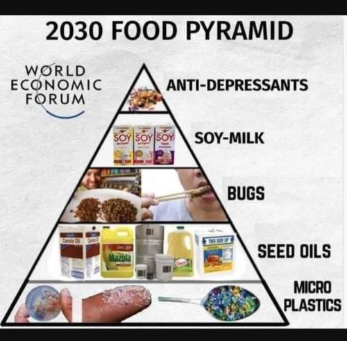 Screenshot_20230524_195147_YouTube