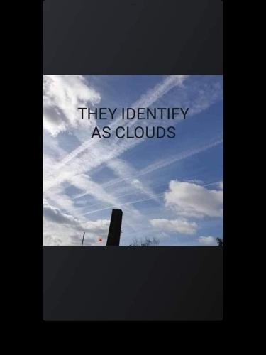 they identify as coullds