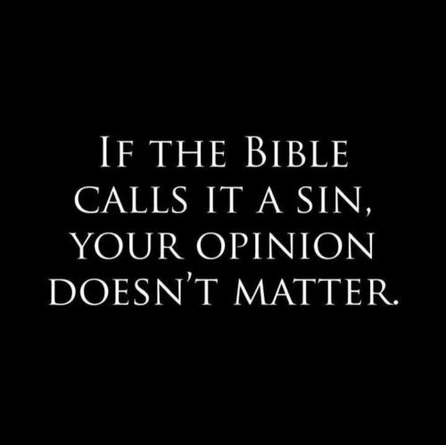 If the Bible calls it a sin your opinion doesn't matter