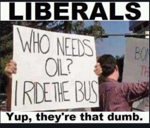 Screenshot_20230509_133350_Chrome