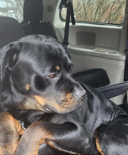 44062fd1-3188-4f8d-b6ba-cd3a332e9a91