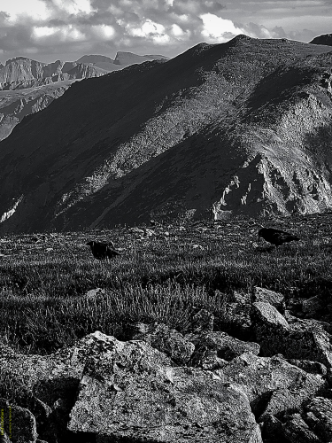 6_20230531_155049_0005