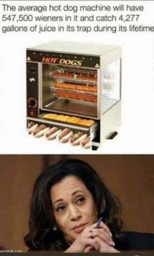 FB_IMG_1685288377502