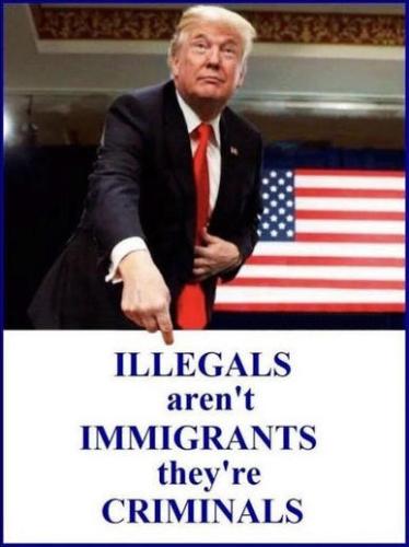 illegal immigration328