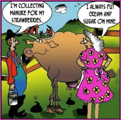 348290690_199159702546388_976920317212660408_n