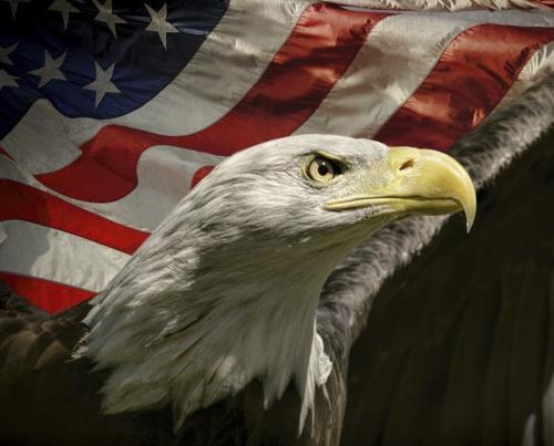 Happy Memorial Day, Weekend.