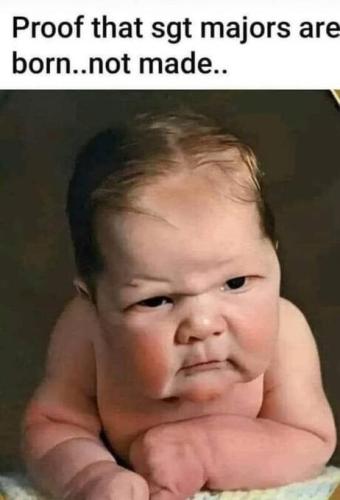 345452044_1436882613793765_1502509016484963164_n