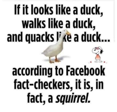 F68F95A6-9F68-4458-8882-AFC405415909