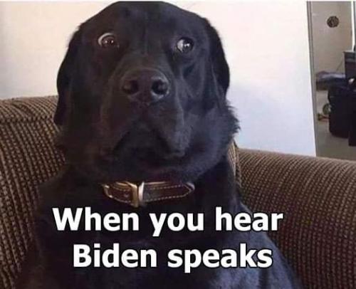 FB_IMG_1683136102009