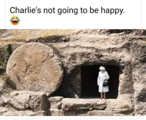 FB_IMG_1683588915175