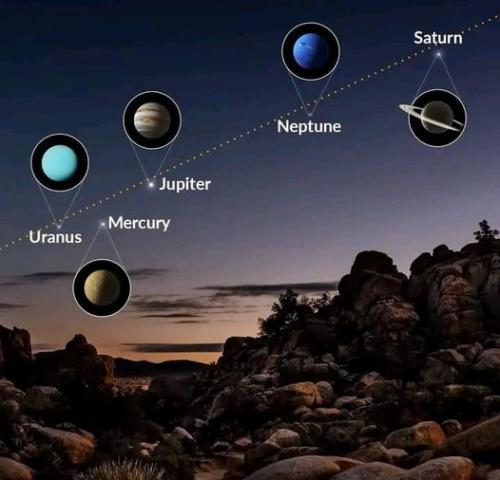 348332517_56467879249