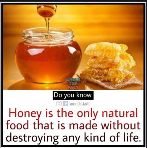 Screenshot_20230528_234627_Chrome