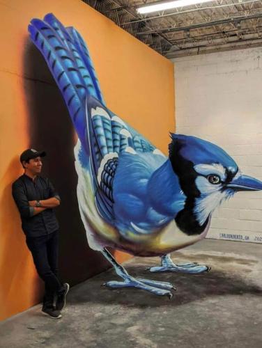 blue jay