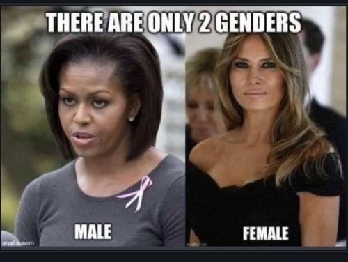 Screenshot_20230512_202207_Chrome