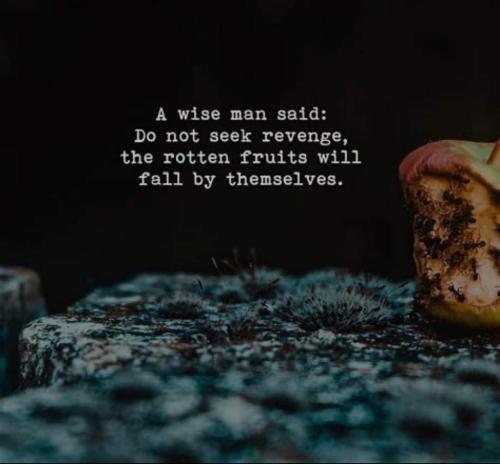 085ffea5-b884-43af-a51e-1a8ad3500678