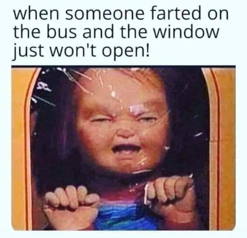 FB_IMG_1685031879020