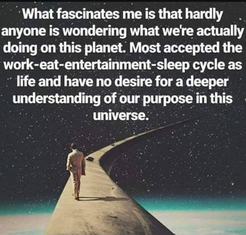 Screenshot_20230524_195050_YouTube