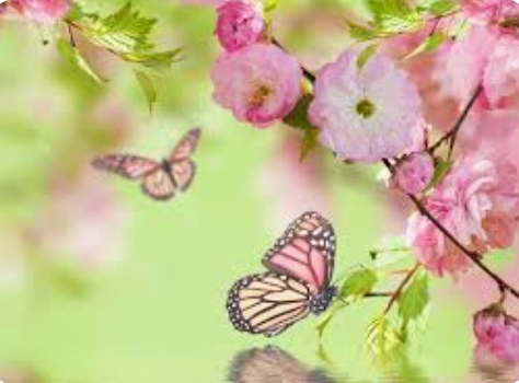 Screenshot_20230514_090250_Google