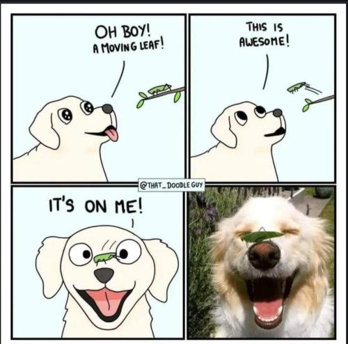 Screenshot_20230508_141802_Chrome