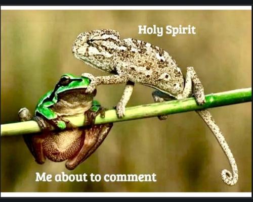 Screenshot_20230517_101339_Chrome