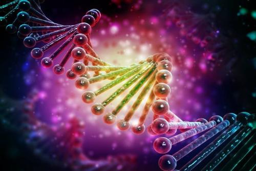 51cCp52jAWL._AC_AC_SR98,95_