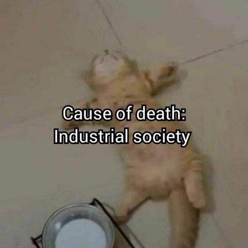 1683059531.965581