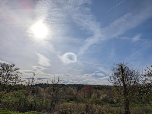 7ea8a2ff-516e-4335-aee0-82011a7863d8