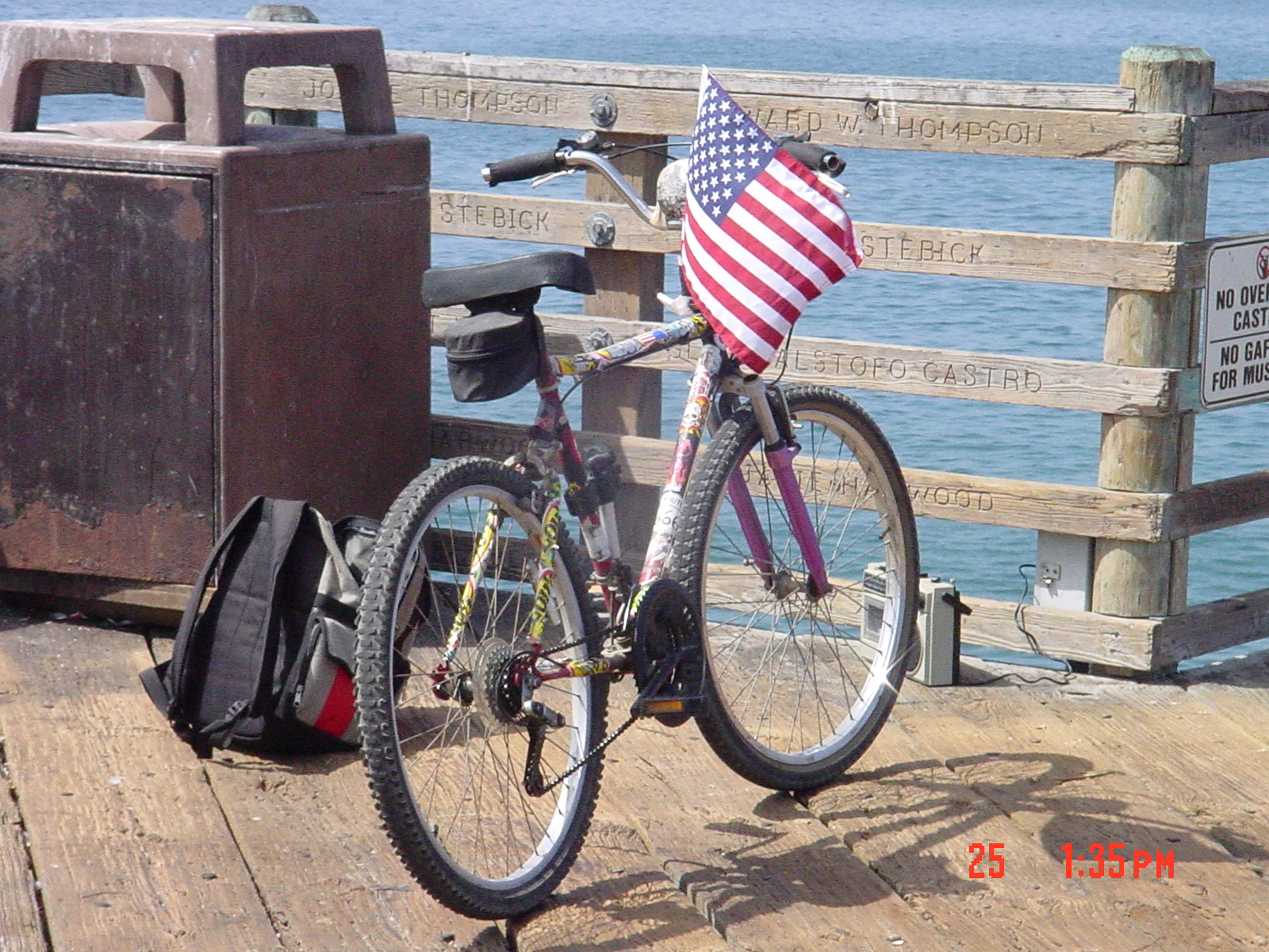 Patriotic Bike with Flag DSC02513