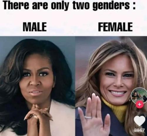 1684894451.891962