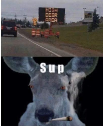 FB_IMG_1683057073489