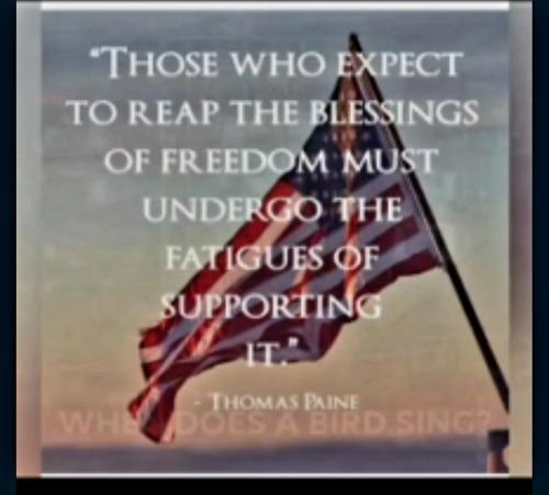 Screenshot_20230515_163648_Rumble