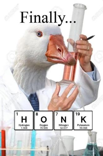 1684985097.356357
