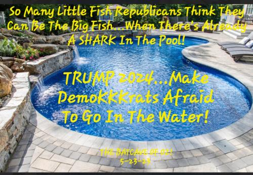 SmartSelect_20230524_153510_Firefox