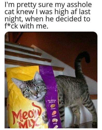 FB_IMG_1683300343125