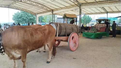 IMG_20230528_122219_1