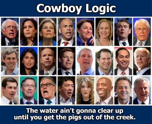 Cowboy Logic The Water Ain't Gonna Clear Up