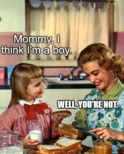 Screenshot_2023-05-09-17-29-12_kindlephoto-10320021