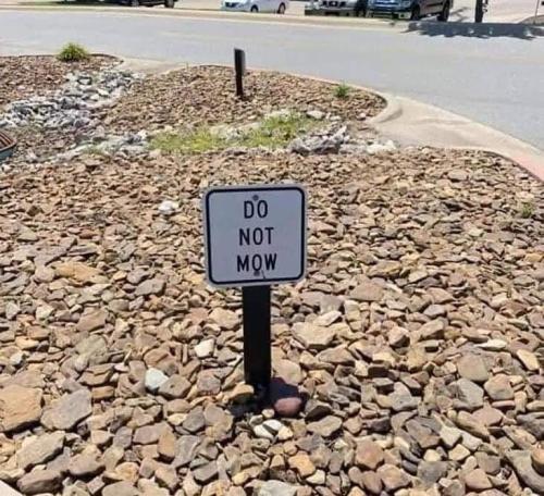 FB_IMG_1684635353700